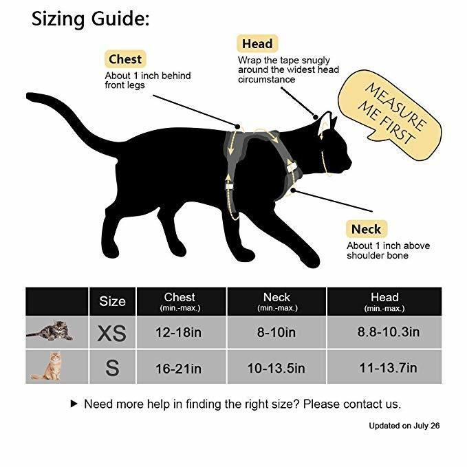 Reflective Breathable Air Mesh Cats Harness with Lead