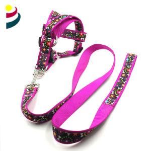 Jacquard Pttern Fabric Bwebbing Dog Leashe and Collar Belt