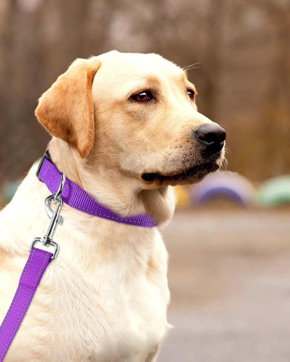 Reflective Nylon Dog Collar with Matching Leash