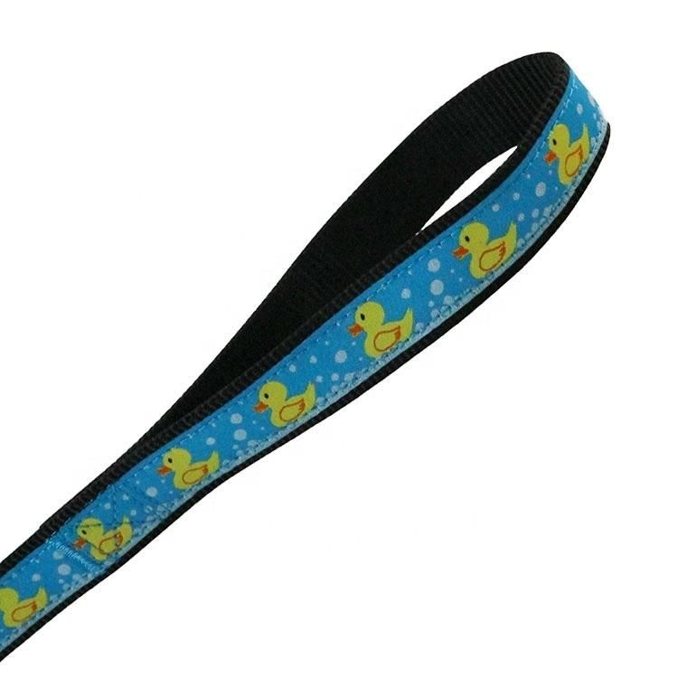 New Design Durable Black Pet Dog Collar and Leash with D Ring Poop Bag