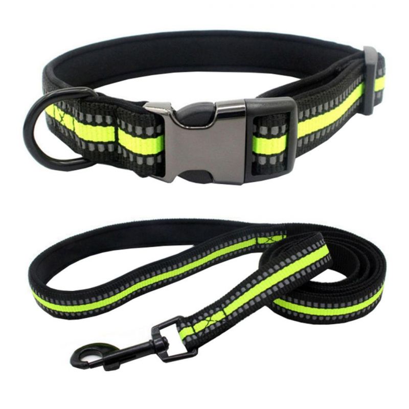 Two High Reflective Stripe Webbing Dog Collar