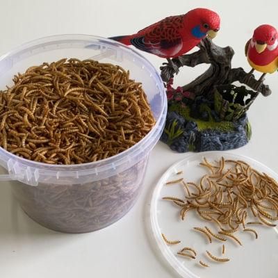 Factory Produced Dried Mealworms for Animal Poultry Bird Pet Food