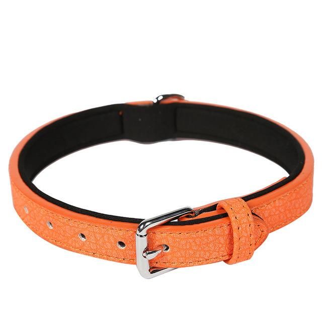 PU Padding Dog Collar for Small Medium Large Dog