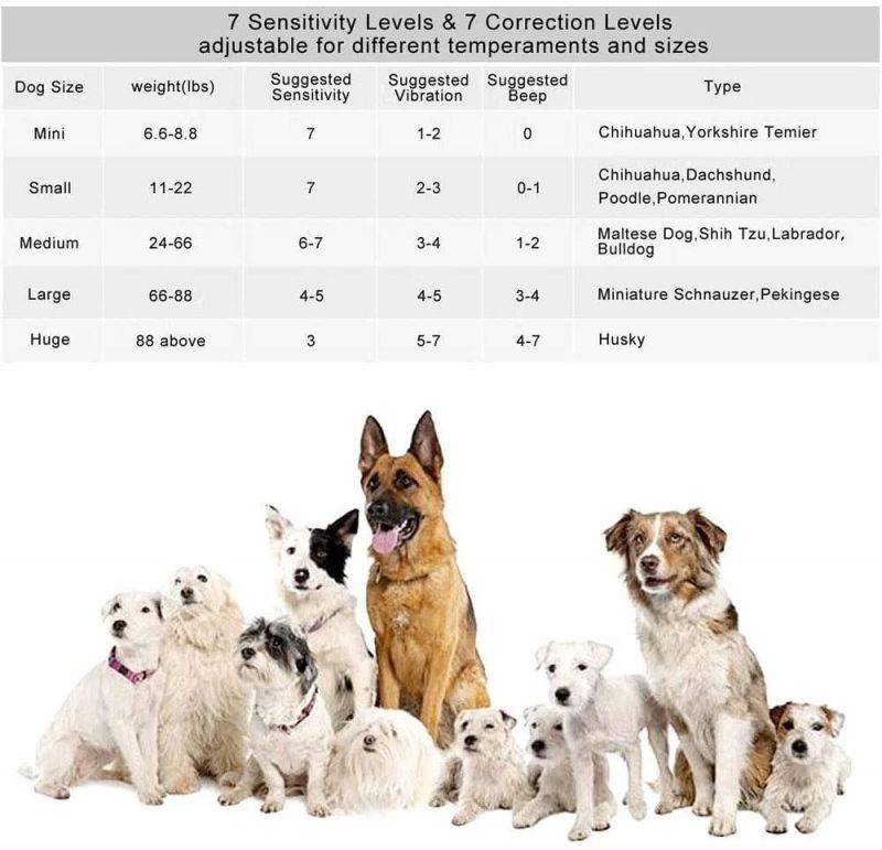 Vibartion / Sound No Bark Collar