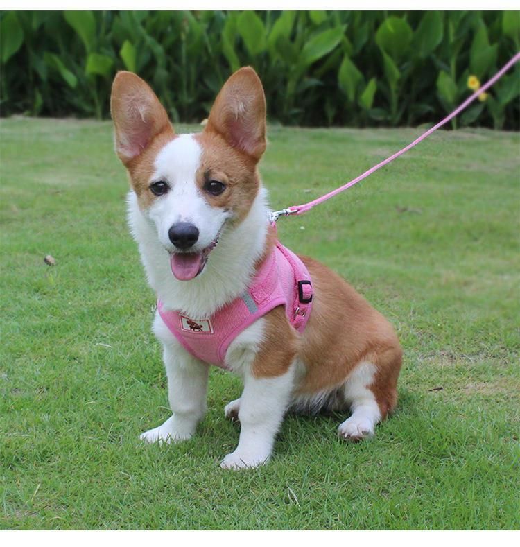 Made in China Wholesale Durable Dog Harness Pet Collars and Leashes Sets Custom Dog Harness and Leash