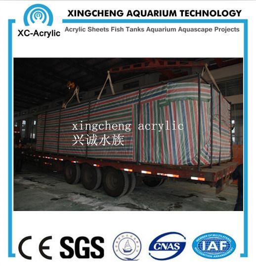 Clear Plexiglass Acrylic Sheet Aquarium for Restaurant Project Price
