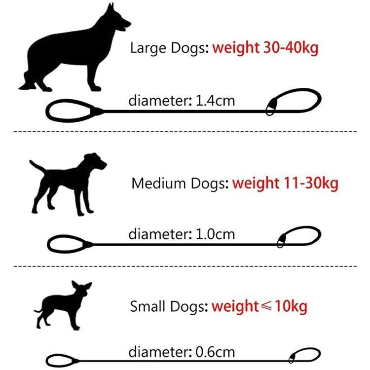 Manufacturer Climbing Nylon Rope Lead Dog Leash Heavy Duty Training Leather Tailor Reinforce Handle Adjustable Pet Rope Slip Leash for Large Medium Small Dogs