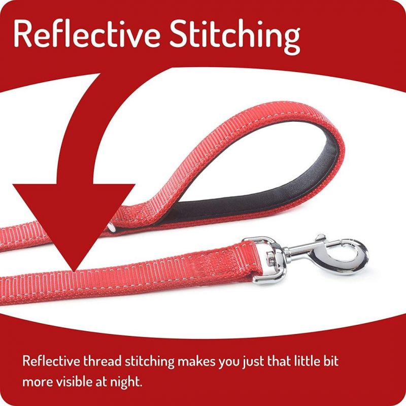 Super Strong Double Layer Nylon Dog Leash with Fast Delivery
