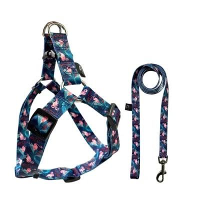 Custom Sublimation Polyester Dog Harness Leashes Set, Pet Leads and Harness for Training and Walking