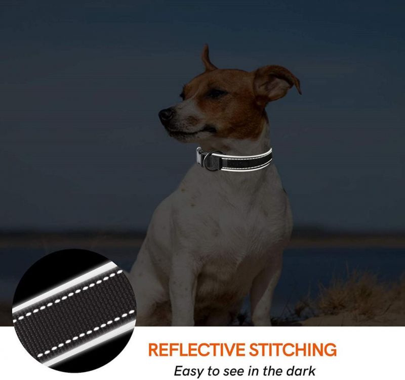 Adjustable Nylon Pet Collar for Small Medium Dogs
