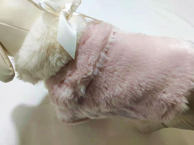 Luxury Lady Pet Coat Pet Products Dog Coat Dog Clothes Fashion Designer Dog Clothes