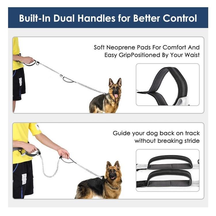 Reflective Dual Handle Hands Free Bungee Dog Leash
