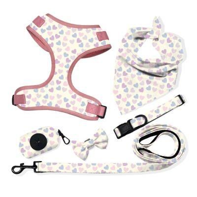 Adjustable Dog Harness Set with Matching Collar Lead Poop Bag Holder, Pet Leash