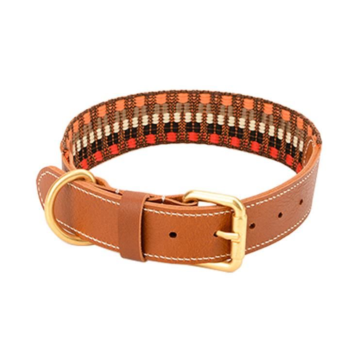 Wide Personalised Webbing Dog Collar with Leather