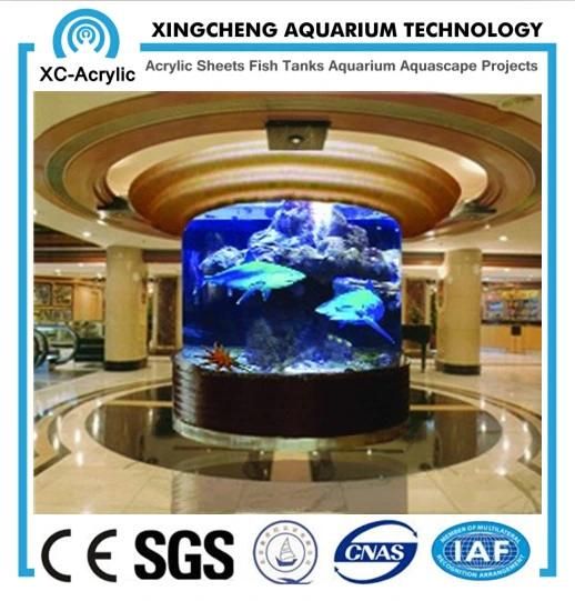 Large Transparent Cylindrical Acrylic Aquarium by Customized for Acrylic Aquarium Project