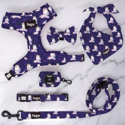 Custom Design Dog Harness with Matching Collar Lead, Personalized Pet Collar Leash