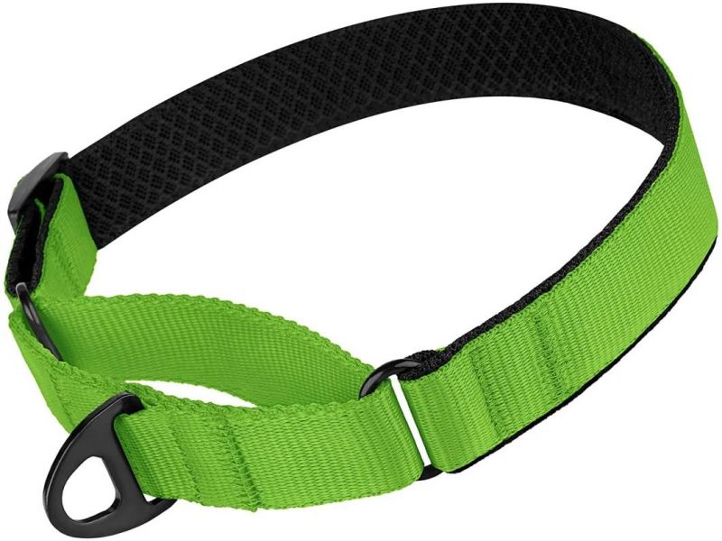 High Quality Soft Padded Nylon Dog Collar