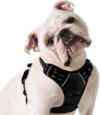 Walking Pet Harness with 2 Metal Rings and Handle