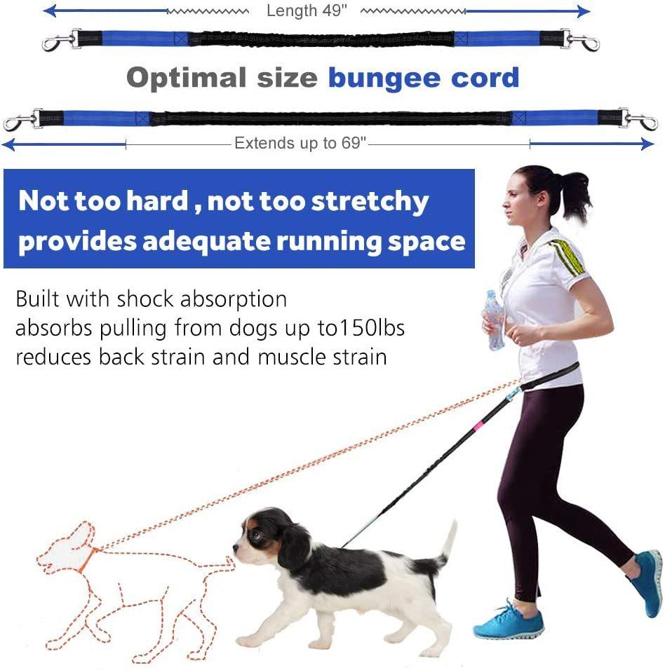 Dual-Handle Reflective Bungee Handsfree Leash
