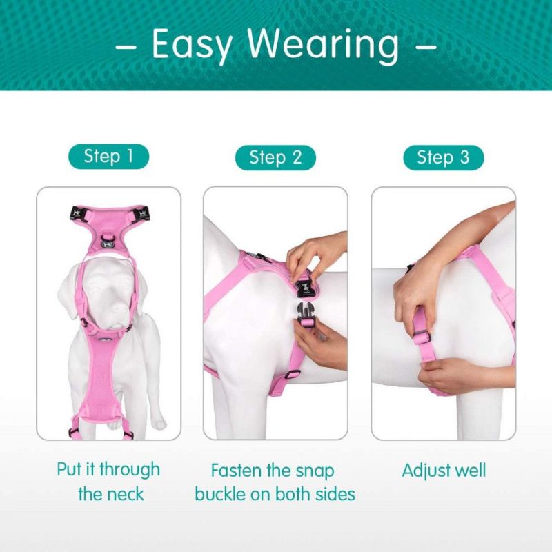 Breathable Mesh Dog Harness No Choke Double Padded Vest Adjustable