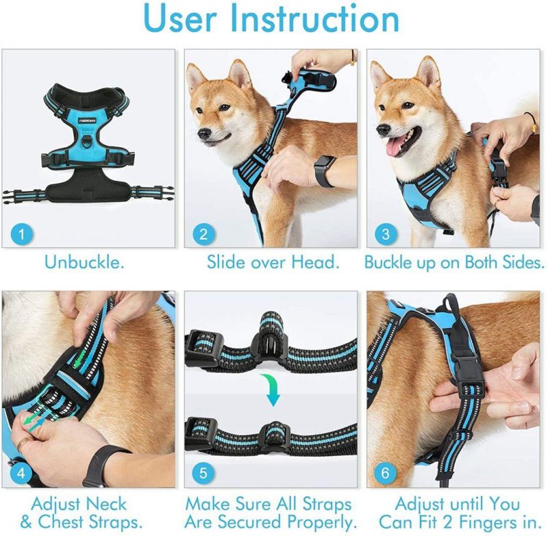 OEM Full Sets Small Order Adjustable Dog Harness