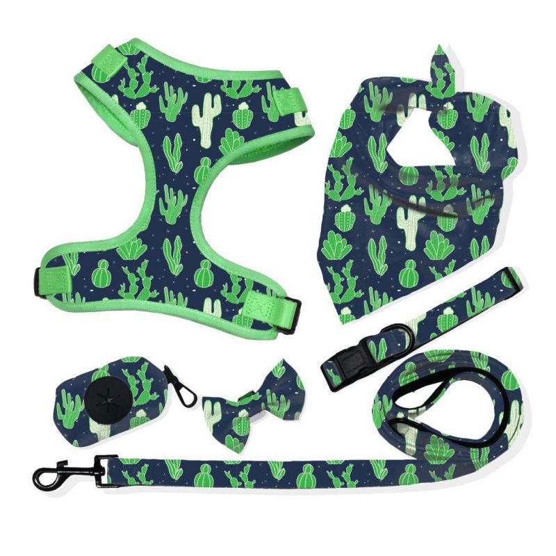 Pet Harness Set Custom Dog Leash Collar Adjustable Dog Harness