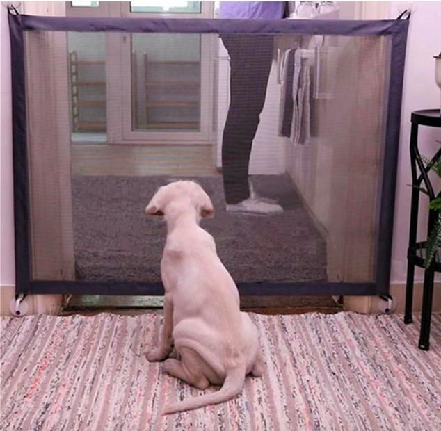 Newest Portable Commercial Safety Dog Pet Fences for Folding Safe Guard Indoor and Outdoor Protection