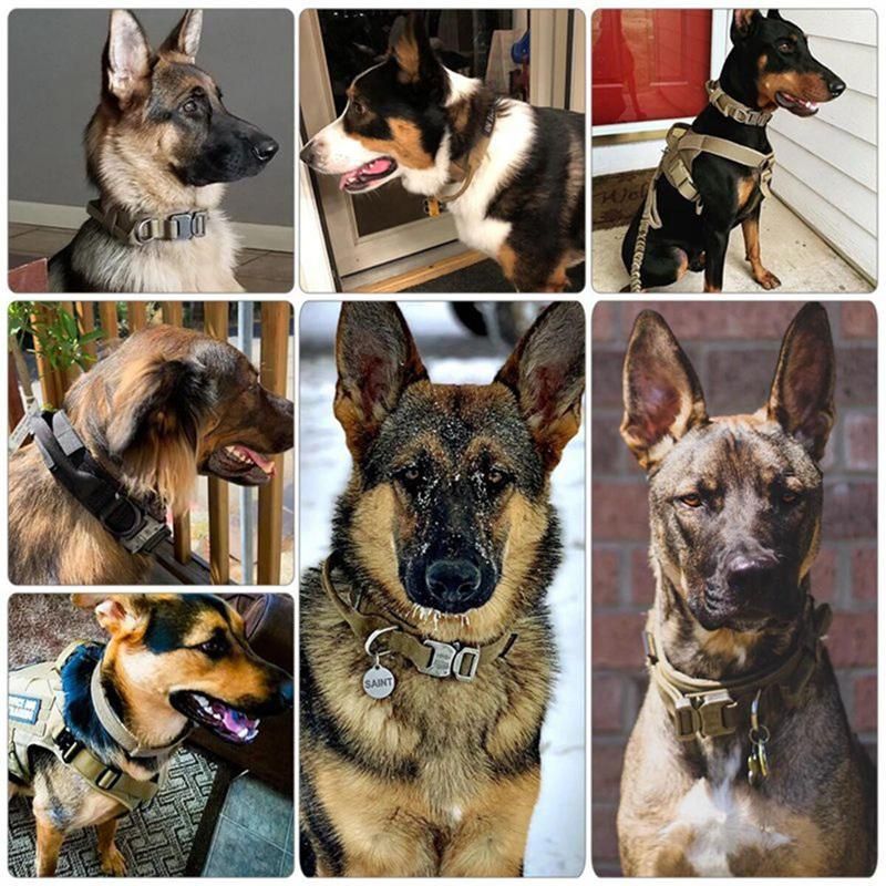 Durable Nylon Dog Training Collars From Direct Factory