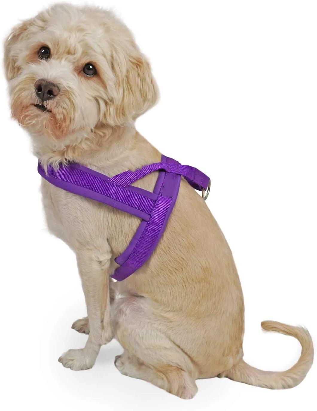 Dog Harness Easy on and off with 1 Clip for Walk with Small Dogs Pet Supply