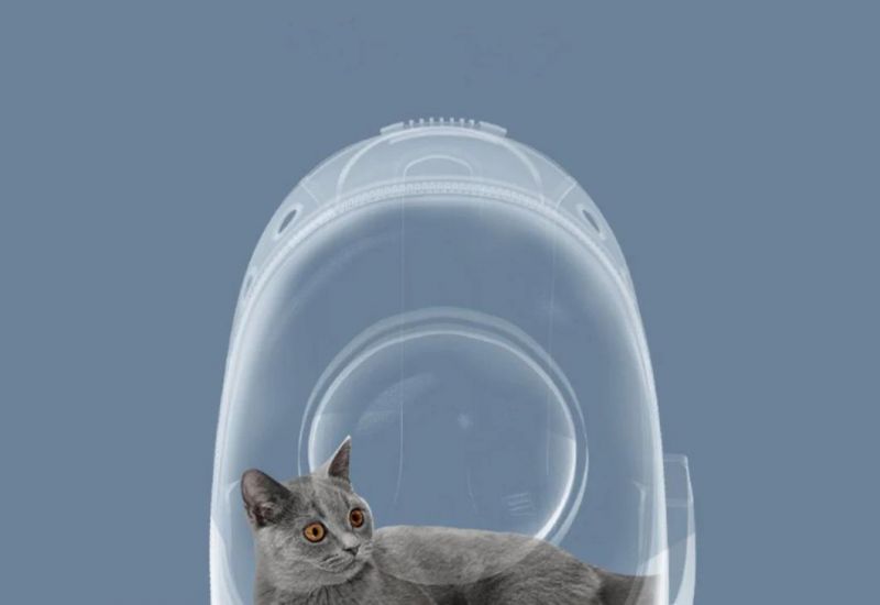 Pet Shop Outdoor Cat Bag Portable Cat Backpack Cat Space Capsule Pet Cat School Bag Shoulder Cat Bag Cat Supplies Bags