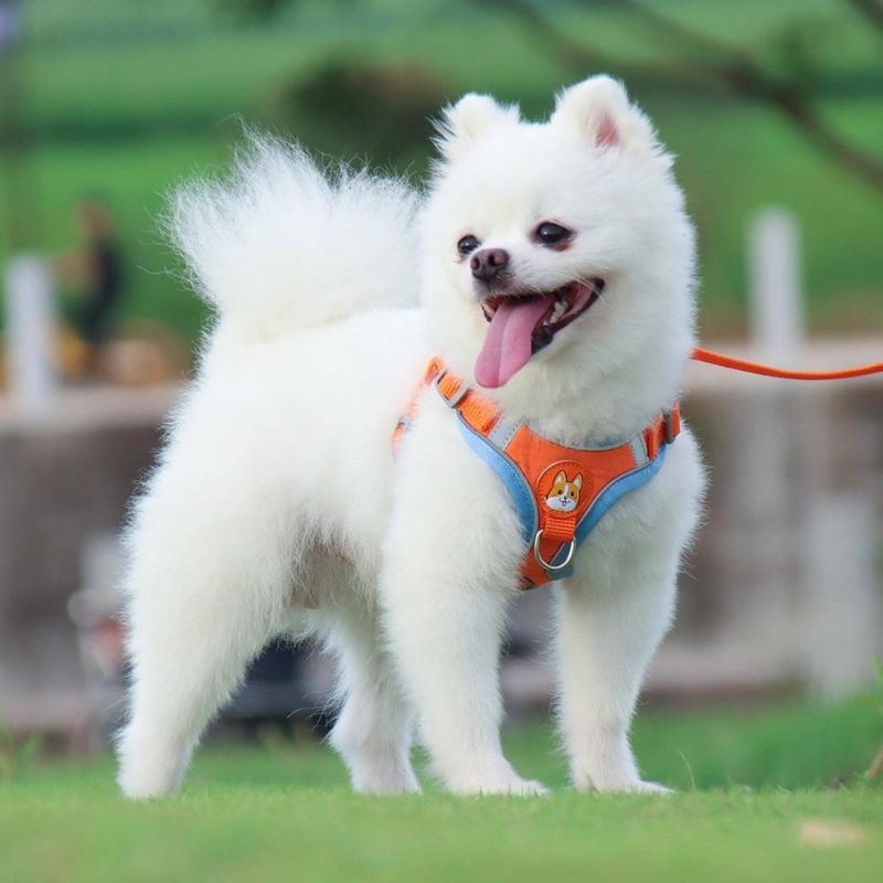 Soft Dog Harness Triple Layered Breathable Mesh Adjustable Chest Belt and Quick-Release Buckle