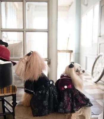 Pet Fashion Dress, Coat, Jacket, Skirt