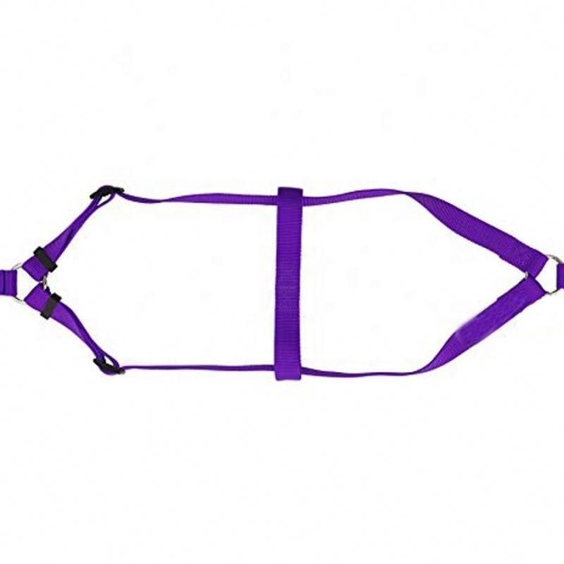 Purple Color Dog Harness Outdoor Hiking with ID Tag/Pet Toy/Pet Accessory