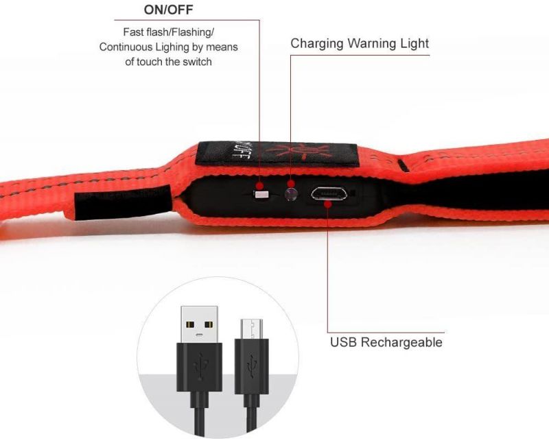 Glowing & Safe LED Dog Leash