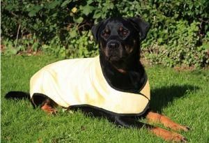 Cooling Dog Coat