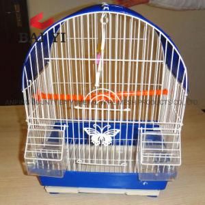 Canary Breeding Cages Bird Bird Cage Sales in Namibia