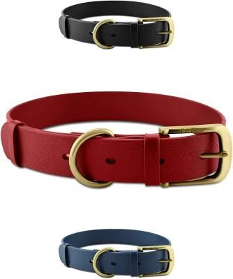 Tough Rust-Proof All Metal Hardware Waterproof Dog Collar