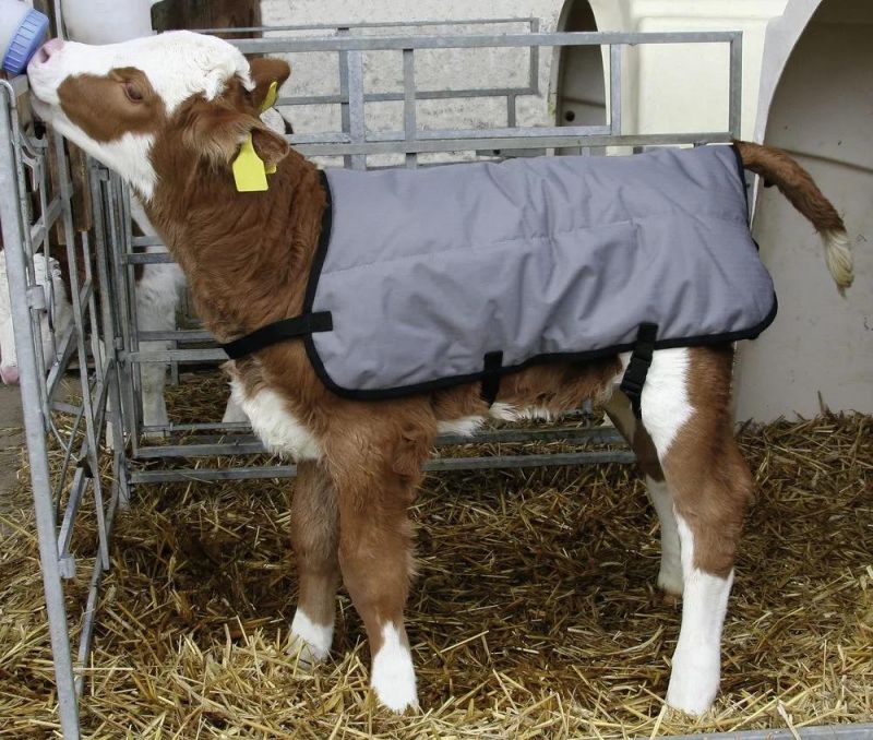 Warming Calf Cover Blanket Livestock Blanket