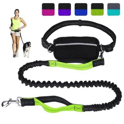 Dual-Handle Reflective Bungee Dog Leash Shock Absorber Dog Lead with 360 Swivel Metal Clasp