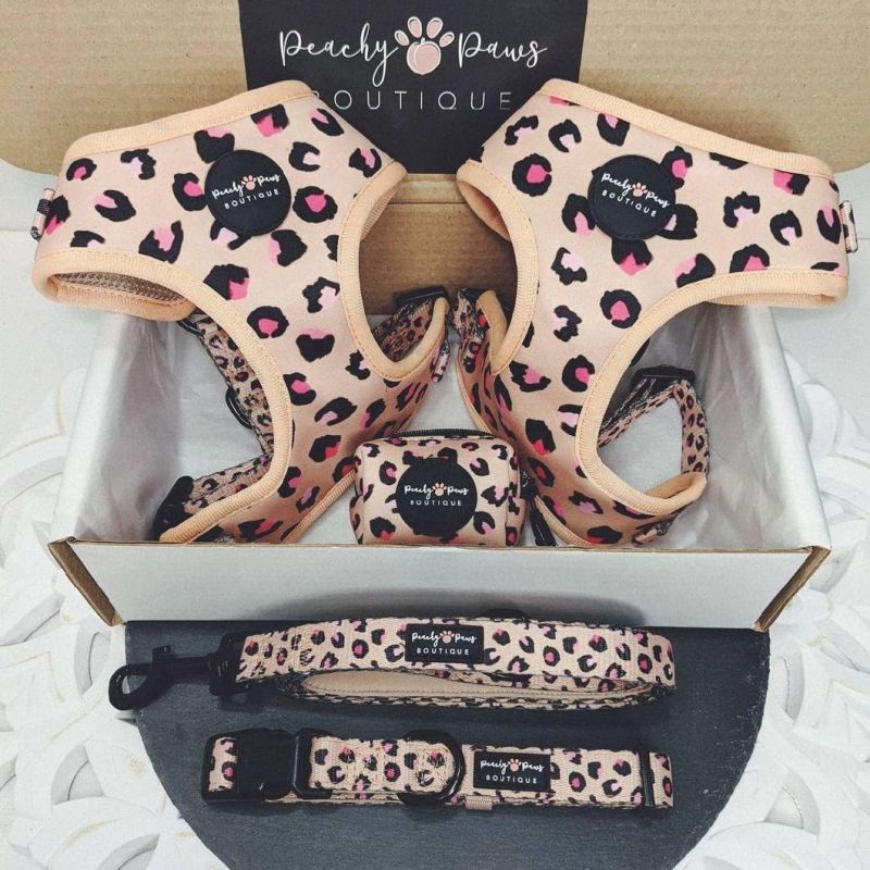 Dog Collar Custom Pattern Luxury Valentine′ S Day Dog Harness Set Ins Hottest Dog Leash OEM ODM Manufacture