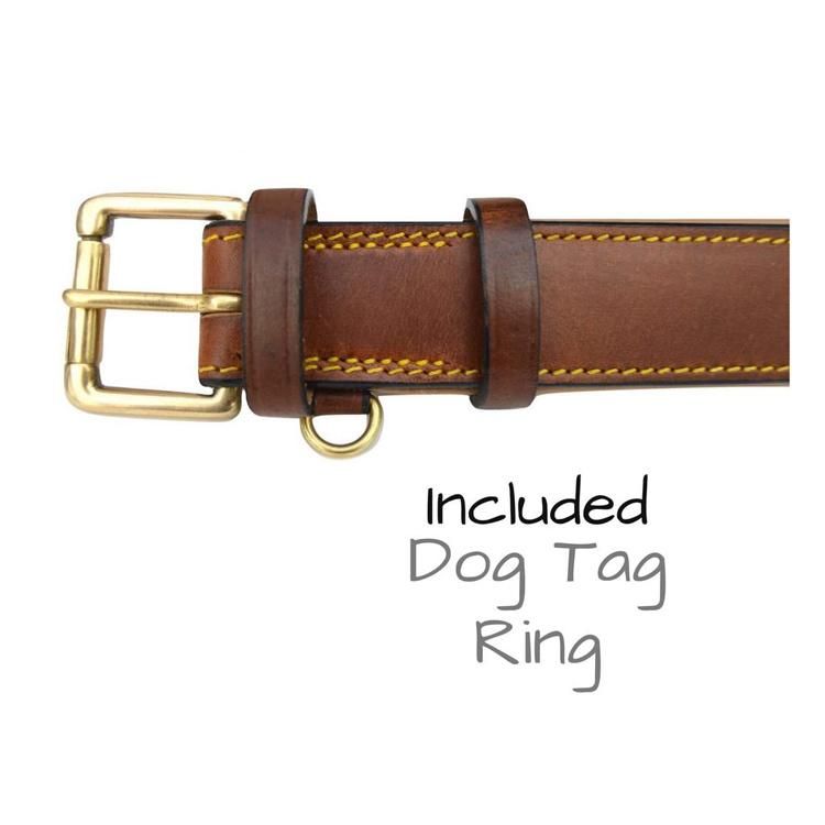 Golden Buckle Padded Genuine Real Leather Dog Collar