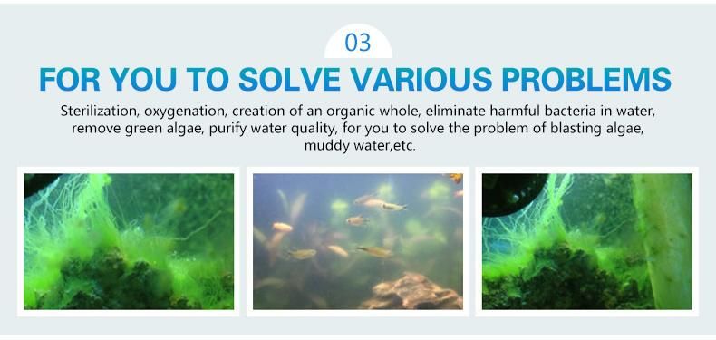 Amphibious 13 Watt UV Sterilizer Light