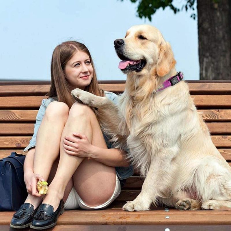 Lightweight Outdoor Training Dog Collars