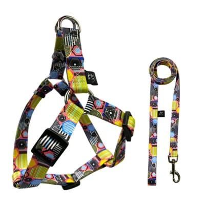 Hot Selling Factory Wholesale Custom Logo Nylon Dog Collar and Leash Harness Set