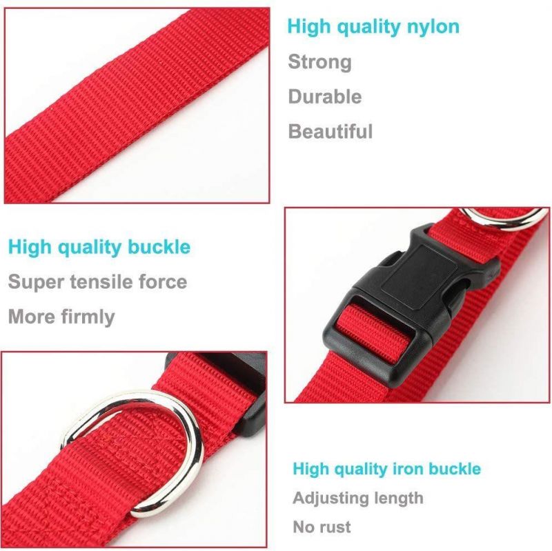 Adjustable Nylon Dog Collar Classic Solid Colors