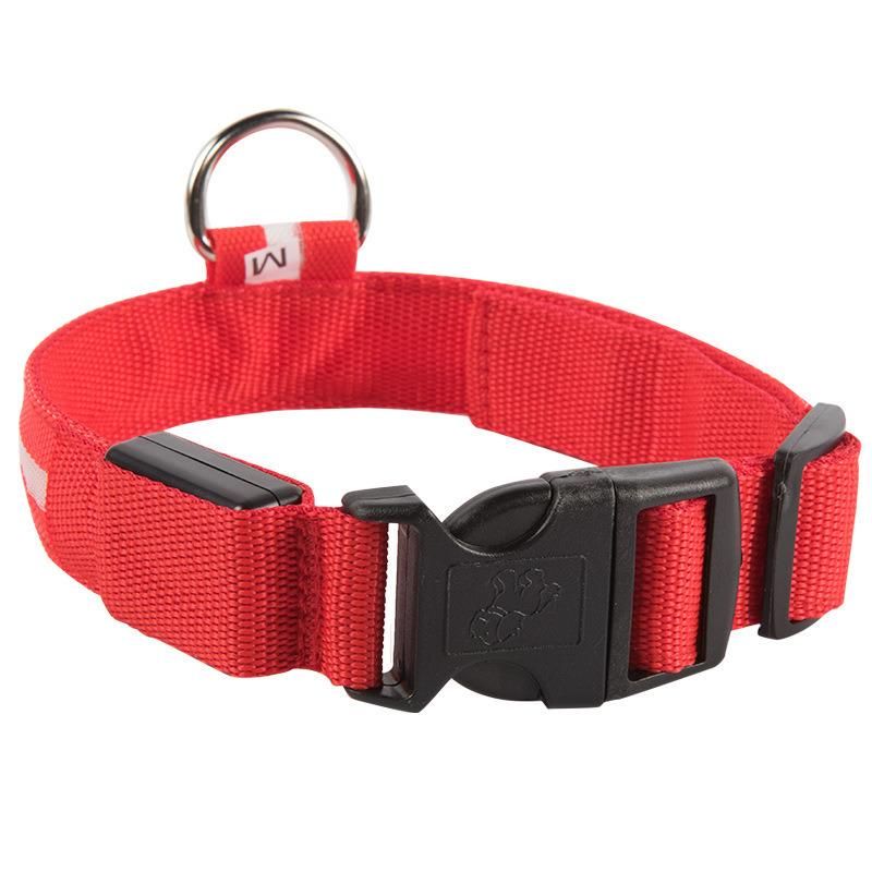 Safety USB Rechargeable Collar Night Illuminated Glowing Luminous Light Pet LED Dog Collar