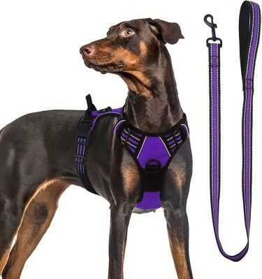 No Pull Front Clip Reflective Dog Harness with Matching Leash