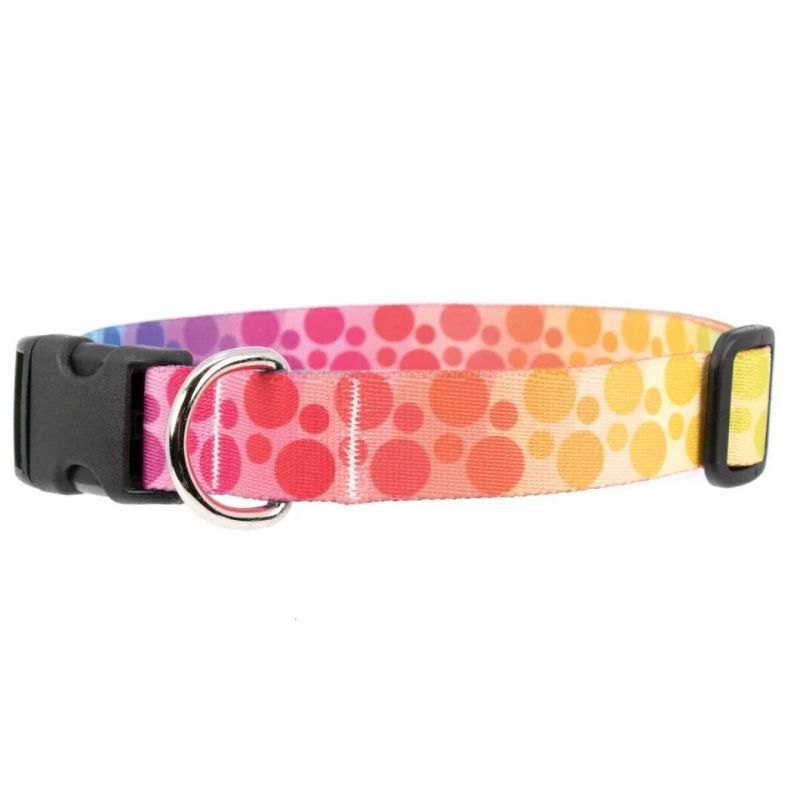 Manufacturer New Design Rainbow Arches Dog Collar Hot Transfer Printing