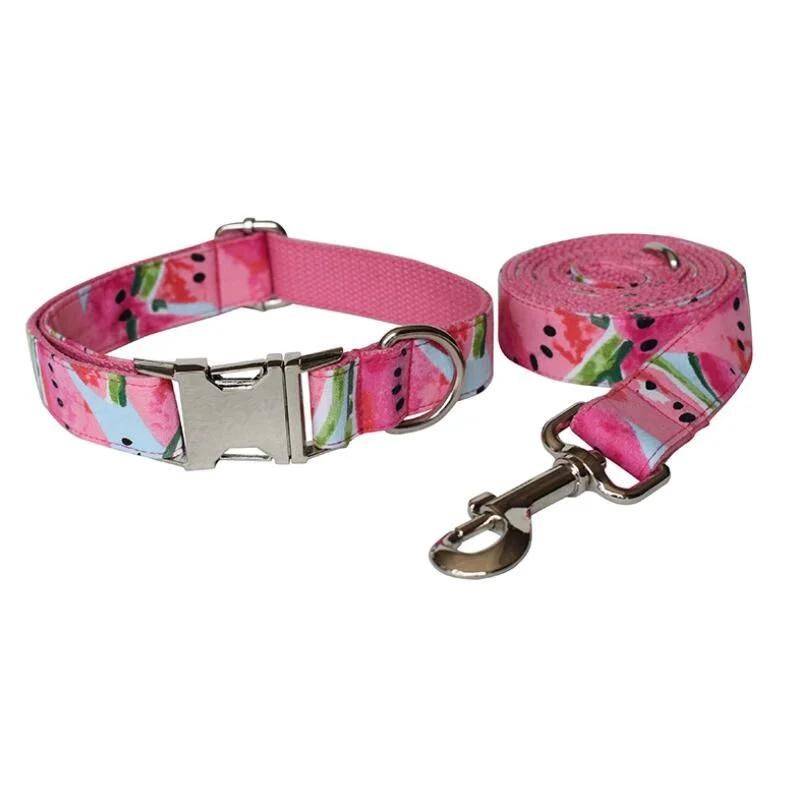 Summer Style Watermellon Dog Collar with Floral