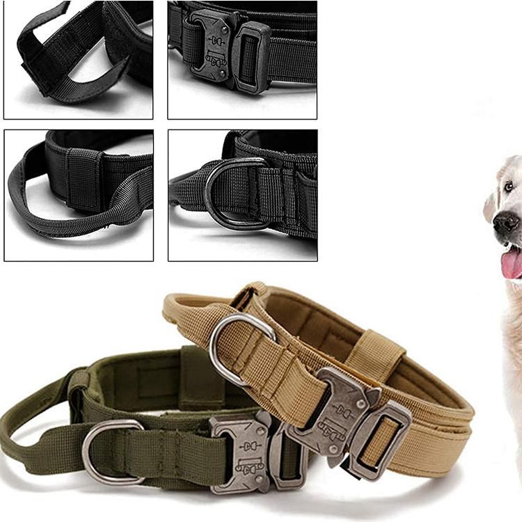 Wholesale High Quality Large Dog Collar